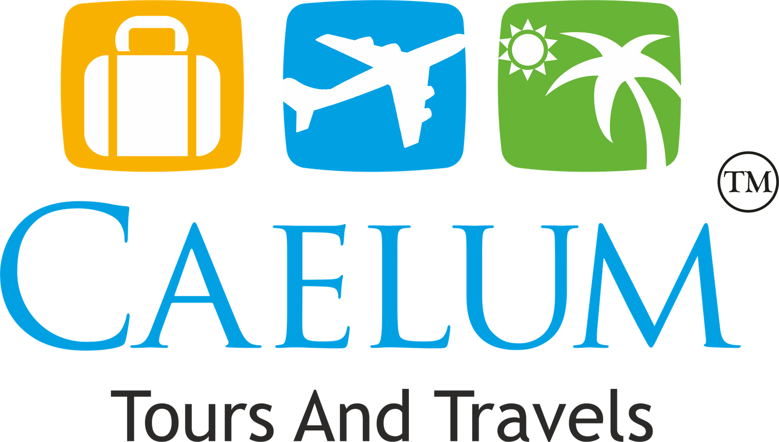 caelum Logo Black Text