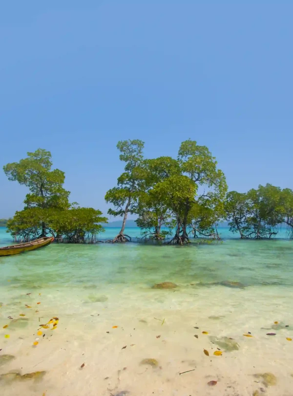 Andaman4