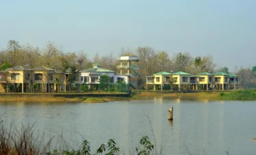 caelum tours and travels