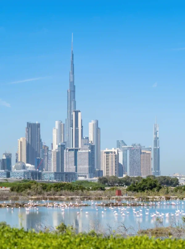 Dubai4