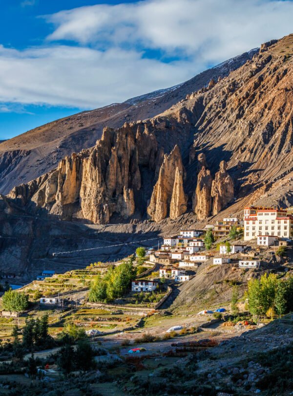 caelum tours and travels