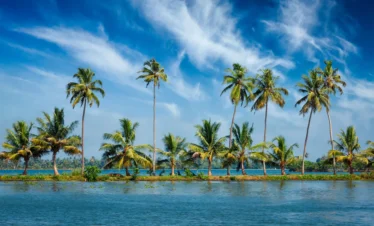 caelum tours and travels