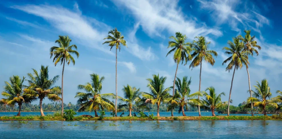 caelum tours and travels