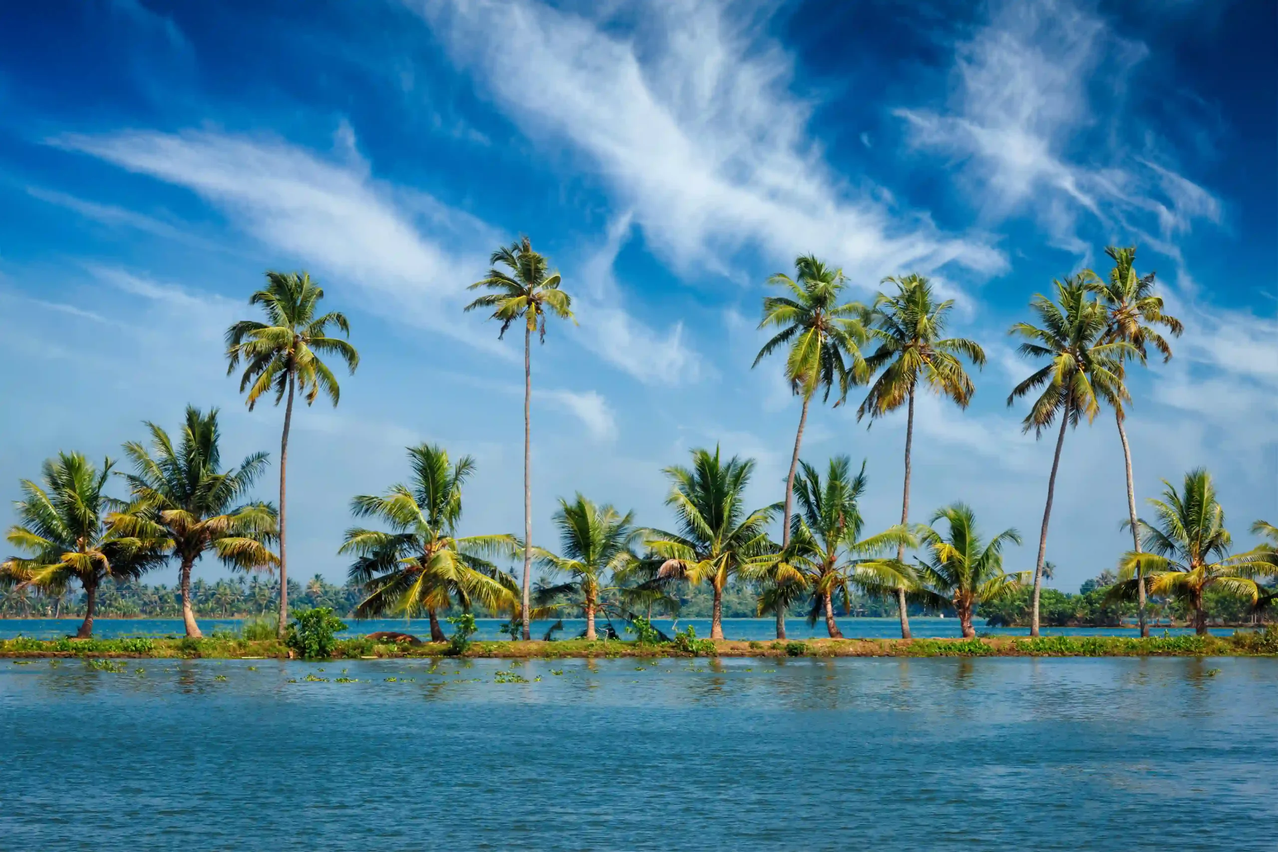 caelum tours and travels