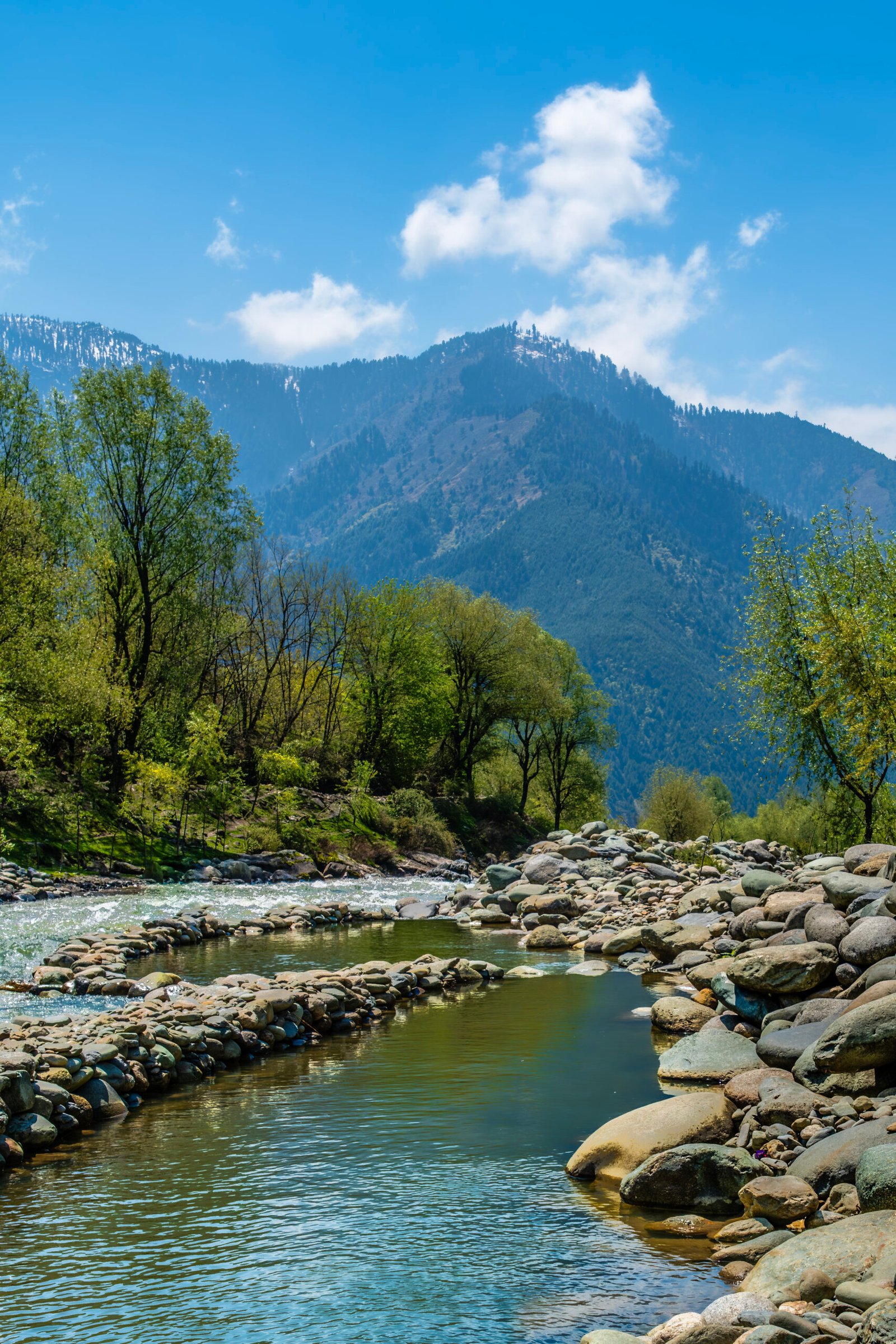 view of barwala waterfall- About Caelum