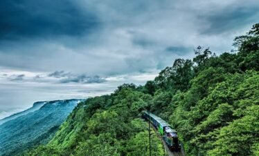 caelum tours and travels