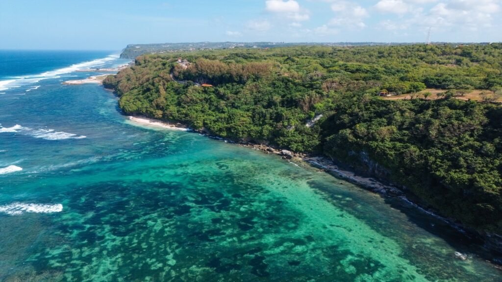 Sacred Monkey Forest Sanctuary in Ubud