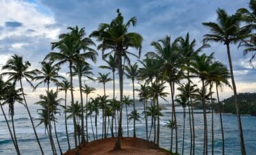 shir lanka