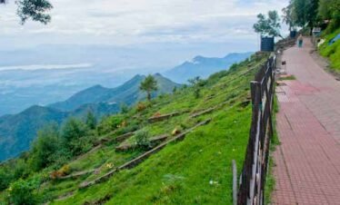 Tamil Nadu 2N (ID:14501)