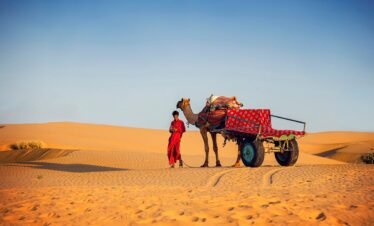 Rajasthan 3N (ID:15276)
