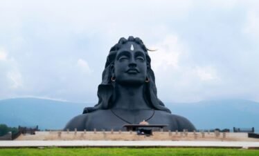 Tamil Nadu 3N (ID:14509)