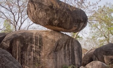 Madhya Pradesh 7N (ID:19092)