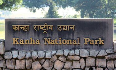 Madhya Pradesh 7N (ID:19130)